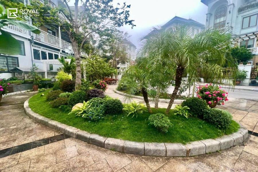 Cỏ thật và cỏ nhân tạo – Đâu là lựa chọn phù hợp 